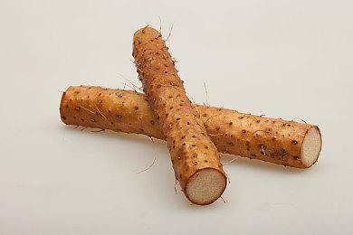 恐怖新作《Jorogumo络新妇》发售 面对蜘蛛精玩家吓尿